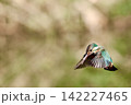 ホバリング 142227465