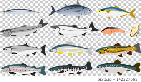 Fish illustration set Fish illustration set 142227665