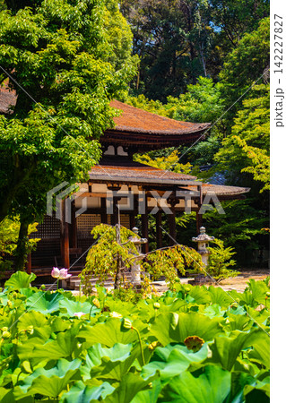 法界寺 女性の信仰を集める薬師如来のご利益：安産,授乳,子授 142227827