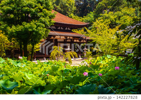 法界寺 女性の信仰を集める薬師如来のご利益:安産,授乳,子授 法界寺 女性の信仰を集める薬師如来のご利益:安産,授乳,子授 142227828