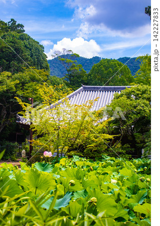 法界寺 女性の信仰を集める薬師如来のご利益:安産,授乳,子授 法界寺 女性の信仰を集める薬師如来のご利益:安産,授乳,子授 142227833
