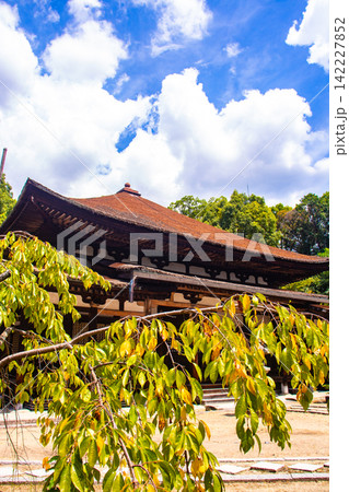 法界寺 女性の信仰を集める薬師如来のご利益:安産,授乳,子授 法界寺 女性の信仰を集める薬師如来のご利益:安産,授乳,子授 142227852