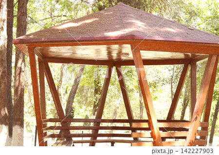 wooden chair in the park wooden chair in the park 142227903