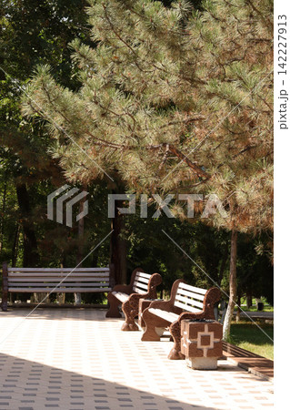 bench in the park bench in the park 142227913