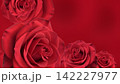 赤い背景とランダムな赤い薔薇 142227977