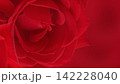 赤い薔薇のクローズアップ背景 142228040