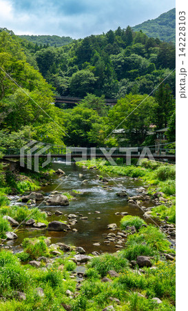 箒川沿いに続く塩原温泉郷の緑豊かな散策路・遊歩道と吊橋(栃木県那須塩原市) 箒川沿いに続く塩原温泉郷の緑豊かな散策路・遊歩道と吊橋(栃木県那須塩原市) 142228103