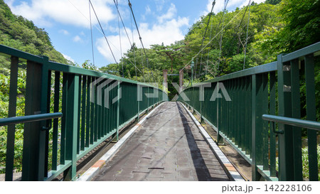 箒川沿いに続く塩原温泉郷の緑豊かな散策路・遊歩道と吊橋（栃木県那須塩原市） 142228106