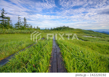 尾瀬・会津駒ヶ岳の絶景と天上の楽園へ続く登山道 尾瀬・会津駒ヶ岳の絶景と天上の楽園へ続く登山道 142228192