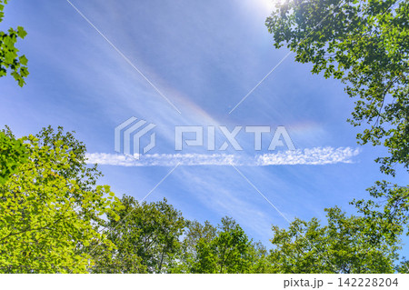 新緑の木々と青空に浮かぶ彩雲と飛行機雲 新緑の木々と青空に浮かぶ彩雲と飛行機雲 142228204