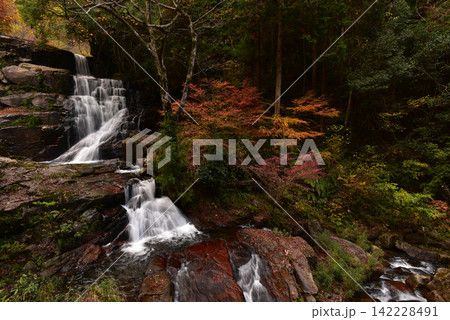 深山峡 広島県安芸太田町 深山峡 広島県安芸太田町 142228491