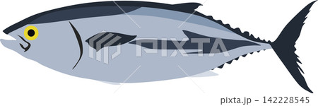 クロマグロのイラスト クロマグロのイラスト 142228545