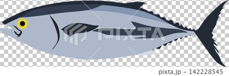 Illustration of bluefin tuna Illustration of bluefin tuna 142228545