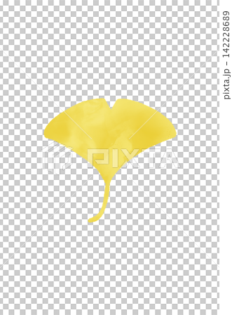 A cute watercolor-style illustration of a ginkgo tree. A cute watercolor-style illustration of a ginkgo tree. 142228689