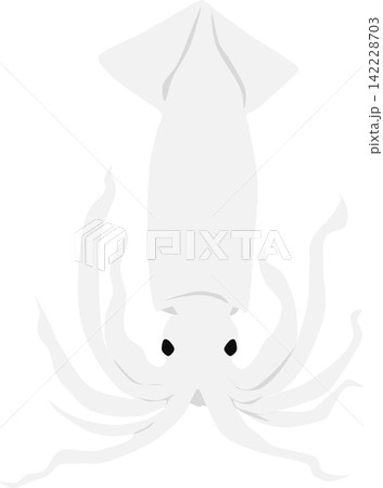 イカのイラスト イカのイラスト 142228703