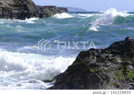 ブルーオーシャン　三浦半島城ケ島の海岸 142229859