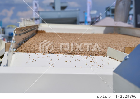 Grain Bed Spreading Across Industrial Sorting Machine In Outdoor Agricultural Facility Grain Bed Spreading Across Industrial Sorting Machine In Outdoor Agricultural Facility 142229866