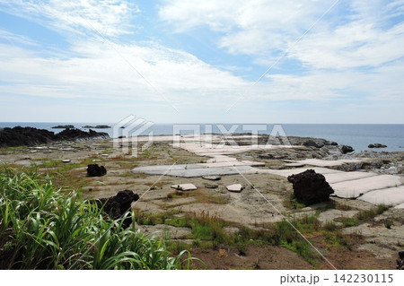 能登地震で隆起した藻場 142230115