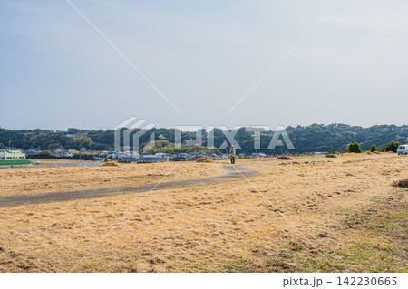 牧之原市の地頭方海浜公園の風景(静岡県) 牧之原市の地頭方海浜公園の風景(静岡県) 142230665