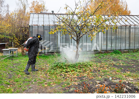 man in mask and overalls sprays garden with pesticides and insecticides against pests in autumn. Prevention of diseases in garden. Seasonal treatment of fruit trees from diseases. man in mask and overalls sprays garden with pesticides and insecticides against pests in autumn. Prevention of diseases in garden. Seasonal treatment of fruit trees from diseases. 142231006