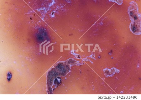 Reddish Ochre Surface Revealing Irregular Brownish Fuzzy Formations And Whitish Crusts In Close-Up Reddish Ochre Surface Revealing Irregular Brownish Fuzzy Formations And Whitish Crusts In Close-Up 142231490
