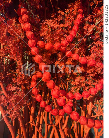 Red Bud Garlands Draped Over Flowering Branches In Dense Decorative Botanical Display Under Warm 142231825