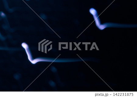 Blue Neon Light Squiggles Moving In Curved Motion On Dark Navy Background With Scattered Faint Blue Neon Light Squiggles Moving In Curved Motion On Dark Navy Background With Scattered Faint 142231875