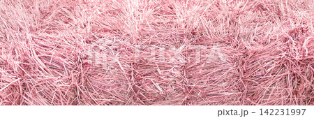 Pink Straw Bale Showing Compacted Dry Hay Texture In Farm Field Close Up Horizontal Panorama Pink Straw Bale Showing Compacted Dry Hay Texture In Farm Field Close Up Horizontal Panorama 142231997