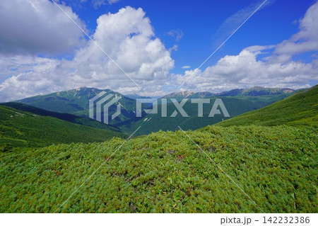 北ノ俣岳からの薬師岳・赤牛岳・水晶岳 142232386