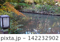 生田緑地の紅葉 142232902