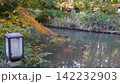 生田緑地の紅葉 142232903