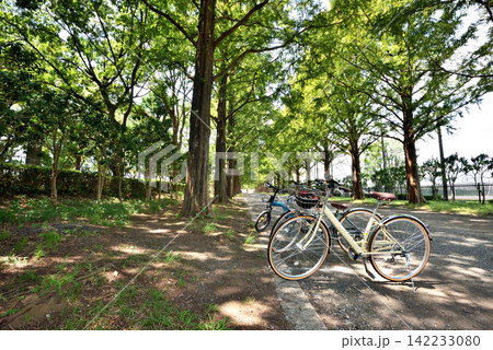 公園の並木に停められた自転車 公園の並木に停められた自転車 142233080