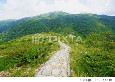 折立の登山道からの太郎山 142233246