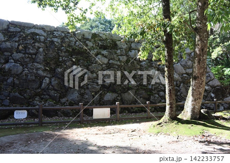 岩國城石垣 岩國城石垣 142233757