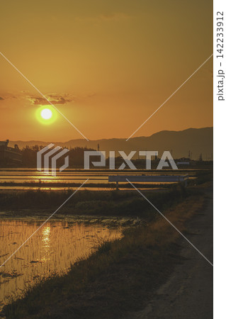 夕焼け空を映す初夏の水田と山並みのある日本の田園風景 夕焼け空を映す初夏の水田と山並みのある日本の田園風景 142233912