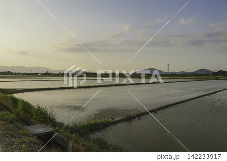 夕焼け空を映す初夏の水田と山並みのある日本の田園風景 夕焼け空を映す初夏の水田と山並みのある日本の田園風景 142233917