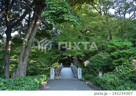 秋の徳川園 142234307