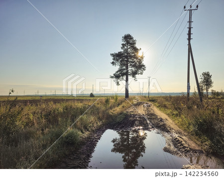 Rustic country road through agricultural fields with mud puddle reflecting lone tree. Rustic country road through agricultural fields with mud puddle reflecting lone tree. 142234560