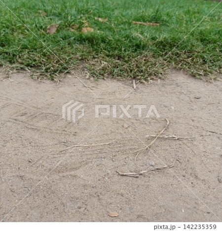 Close up top down view of a sandy ground dirt texture smoothly bordered by a thick line of vibrant green outdoor grass Close up top down view of a sandy ground dirt texture smoothly bordered by a thick line of vibrant green outdoor grass 142235359