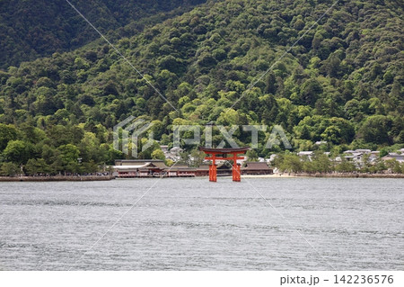 嚴島神社の大鳥居【日本・広島】 嚴島神社の大鳥居【日本・広島】 142236576