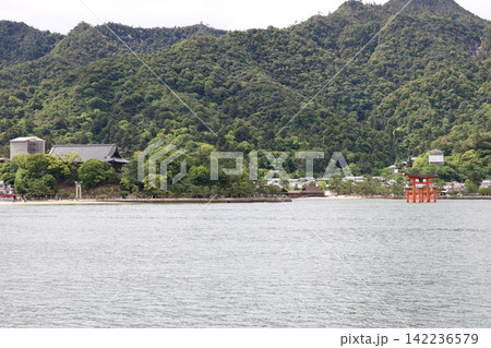 嚴島神社の大鳥居【日本・広島】 嚴島神社の大鳥居【日本・広島】 142236579