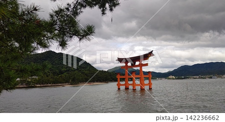 嚴島神社の大鳥居【日本・広島】 嚴島神社の大鳥居【日本・広島】 142236662