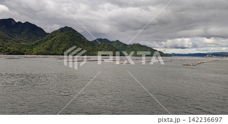 瀬戸内海に浮かぶカキ筏【日本・広島】 瀬戸内海に浮かぶカキ筏【日本・広島】 142236697