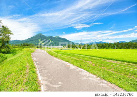 福島県耶麻郡猪苗代町 夏の磐梯山と田園風景 福島県耶麻郡猪苗代町 夏の磐梯山と田園風景 142236760