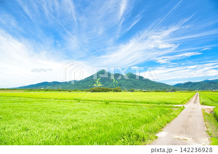 福島県耶麻郡猪苗代町 夏の磐梯山と田園風景 福島県耶麻郡猪苗代町 夏の磐梯山と田園風景 142236928
