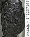 石炭 142237169