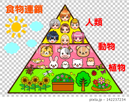 Illustration material 2 of the food chain pyramid 142237234