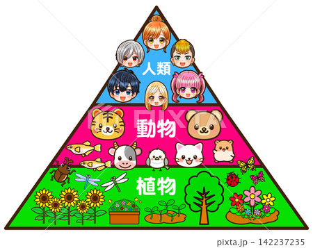 食物連鎖のピラミッドの図解イラスト素材3 食物連鎖のピラミッドの図解イラスト素材3 142237235