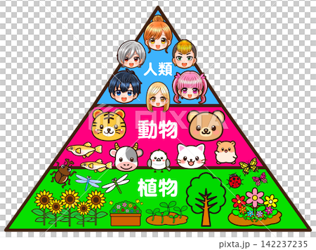 食物連鎖のピラミッドの図解イラスト素材3 食物連鎖のピラミッドの図解イラスト素材3 142237235