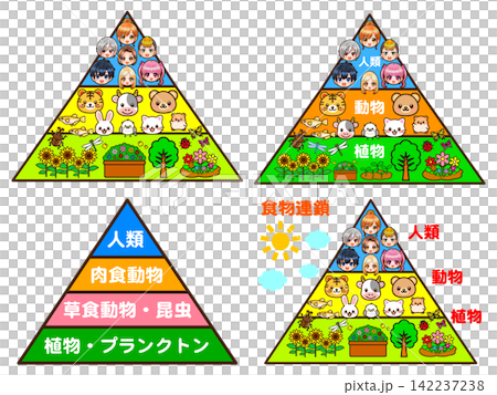 A set of illustrations depicting a food chain pyramid. 142237238